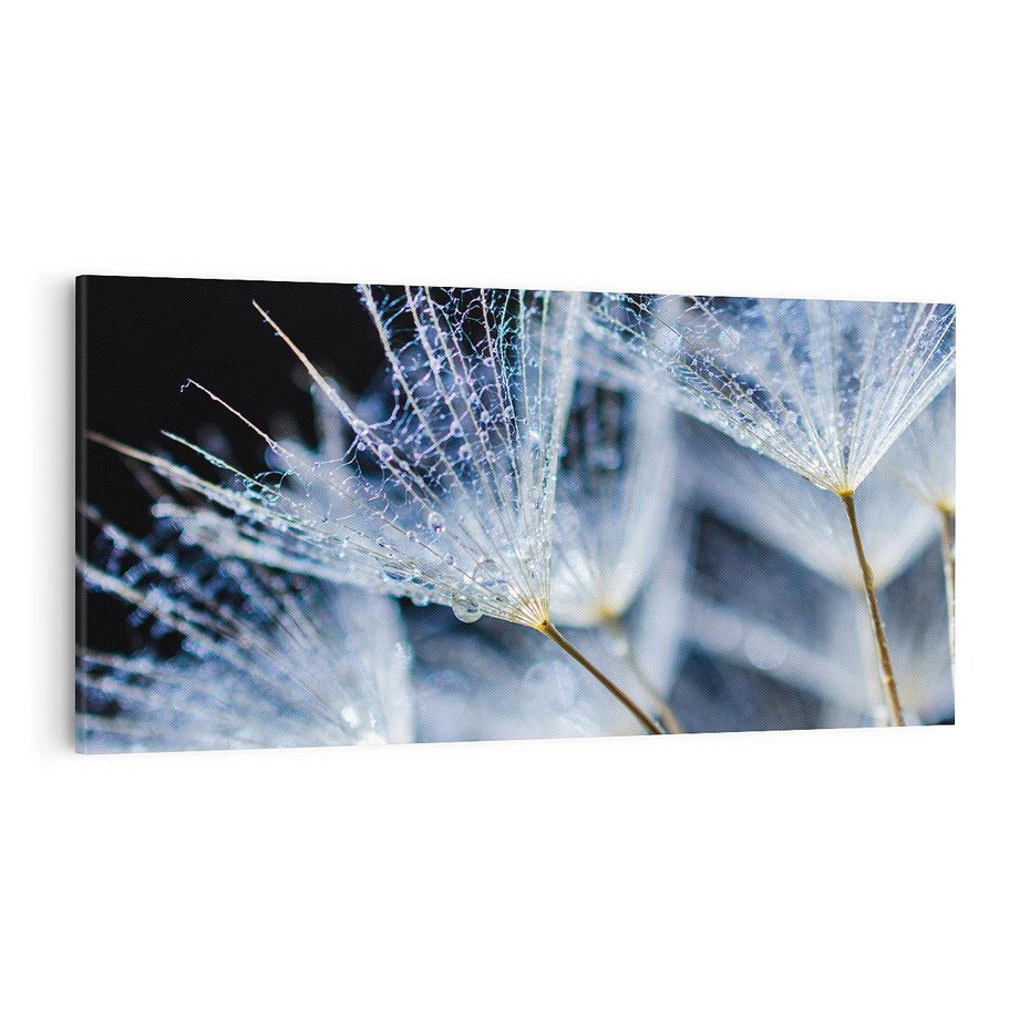 Obraz na płótnie 120x60 - Makro piękno dmuchawców - makro, dmuchawce