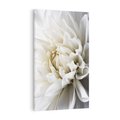 Obraz na płótnie 50x70 - Białe Kwiaty Delikatności - białe, kwiaty