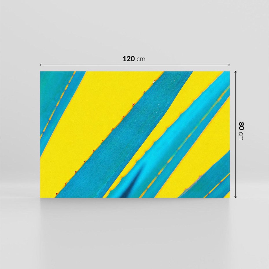 Obraz na płótnie 120x80 - Świeżość Natury - aloes, liście