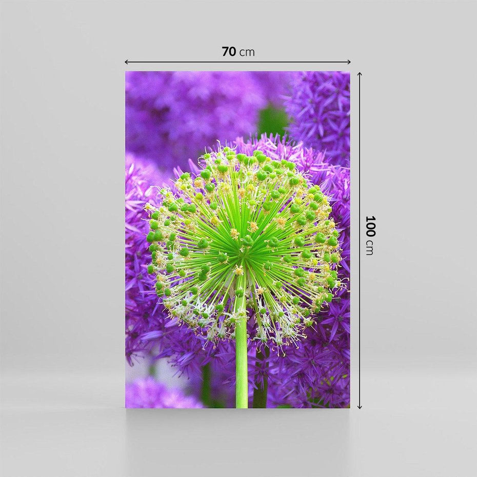 Obraz na płótnie 70x100 - Kwiatowy Raj - kwiat, kwiaty