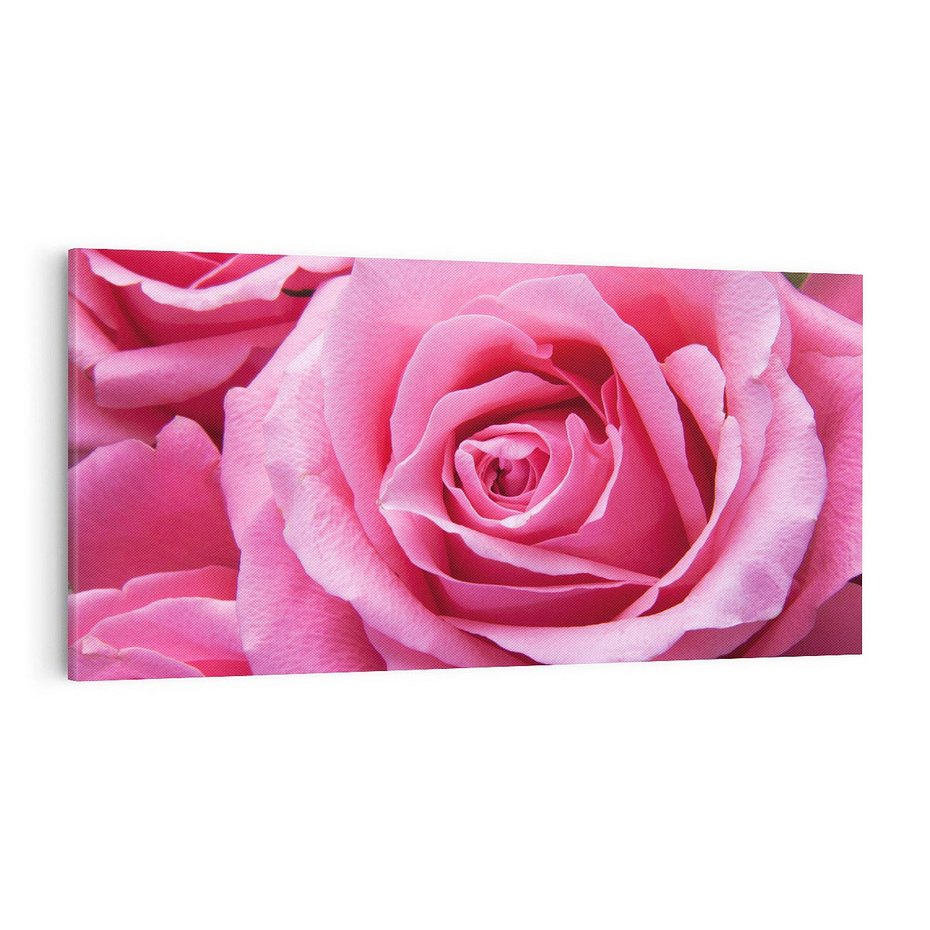 Obraz na płótnie 100x50 - Róża Wspaniałości - róża, kwiat