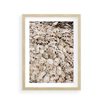 Plakat w ramie 50x70 - Symfonia Natury - kompozycja z białych muszli - rama drewno