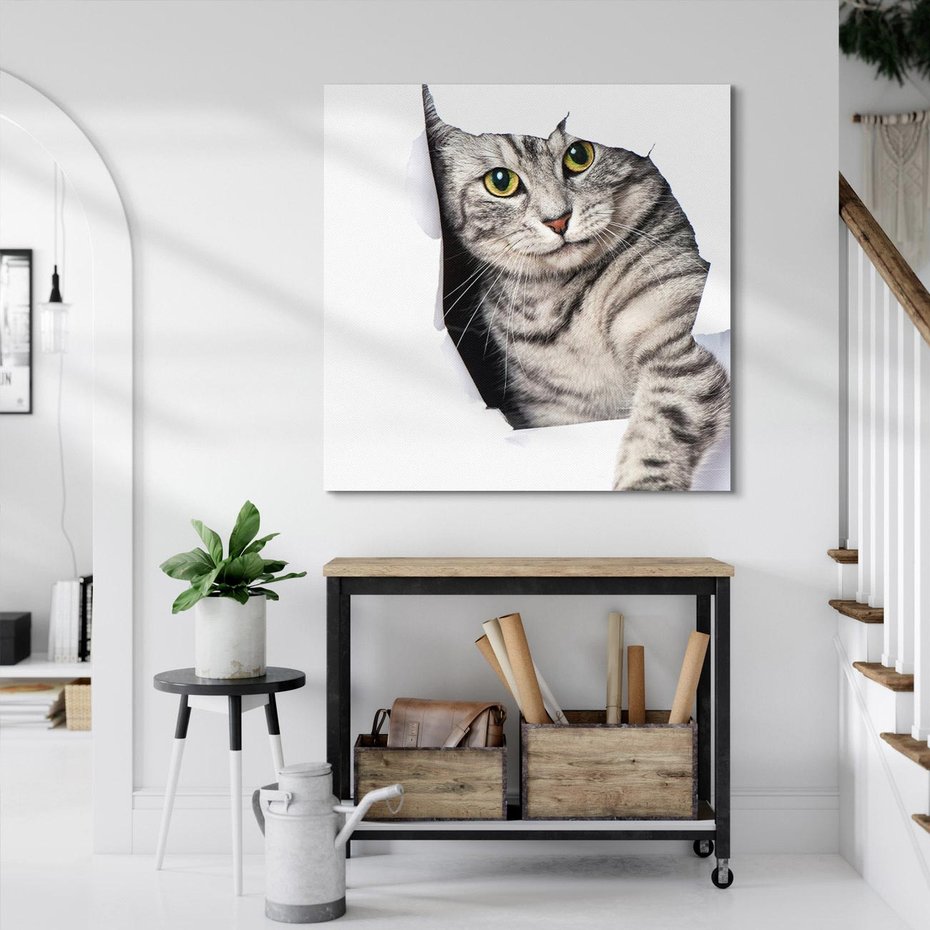 Obraz na płótnie 60x60 - Tajemniczy kot i jego świat - kot, dziura