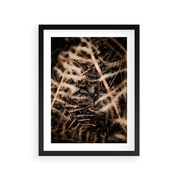Plakat w ramie 30x40 - Liście i Paprocie - suche liście, paprocie - rama czarna
