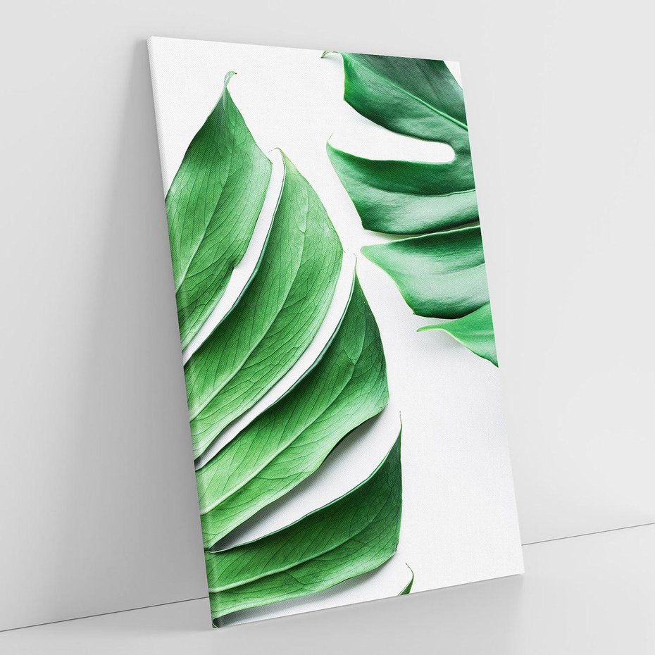 Obraz na płótnie 80x120 - Monstera - Liście Kwiaty - monstera, liście