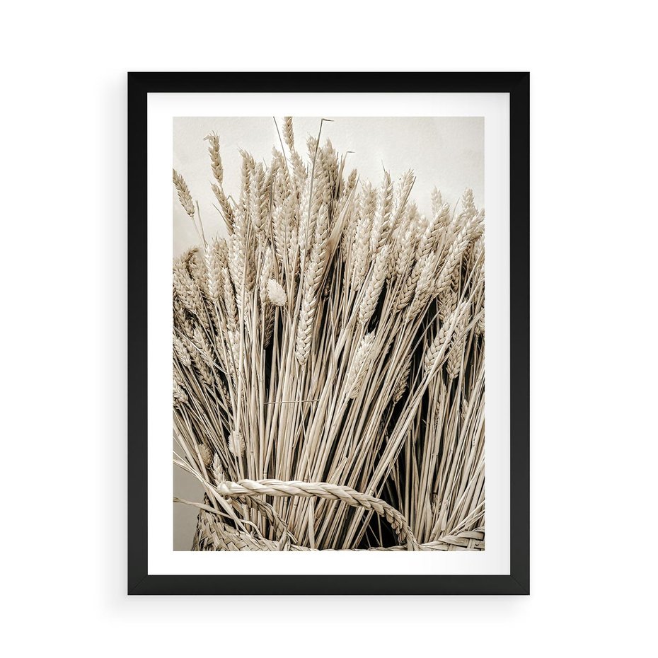 Plakat w ramie 50x70 - Letni Plon - zboże, kłosy zboża - rama czarna