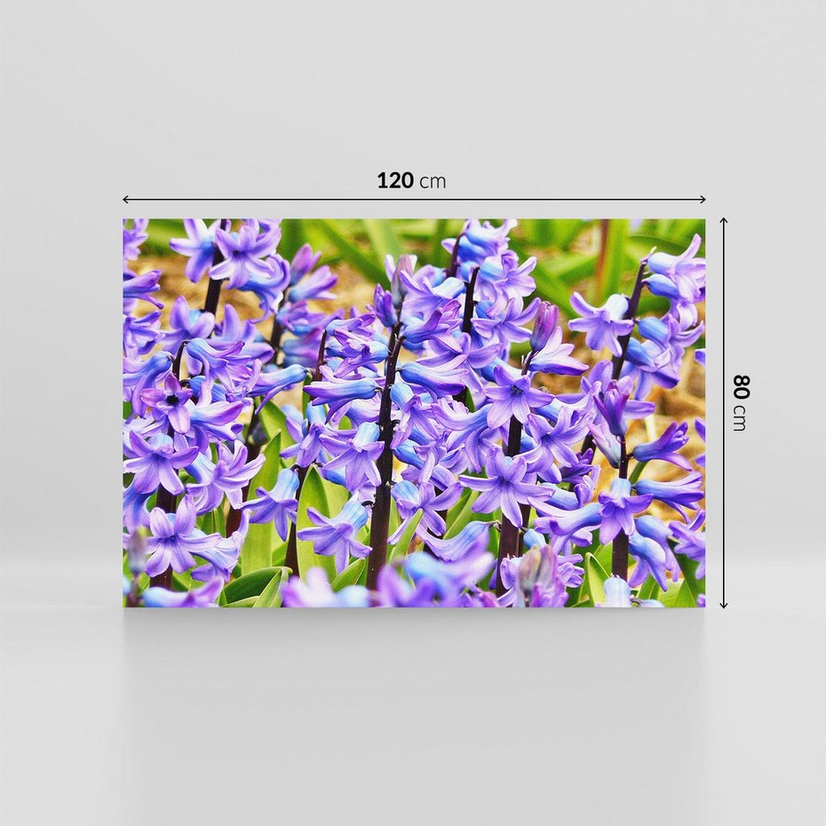 Obraz na płótnie 120x80 - Kwiatowy wibrant piękno natury - kwiat, kwiaty