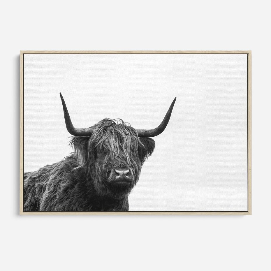 Obraz w ramie 100x70 - Moc i Spokój - amerykańskie bydło, byk - rama drewno
