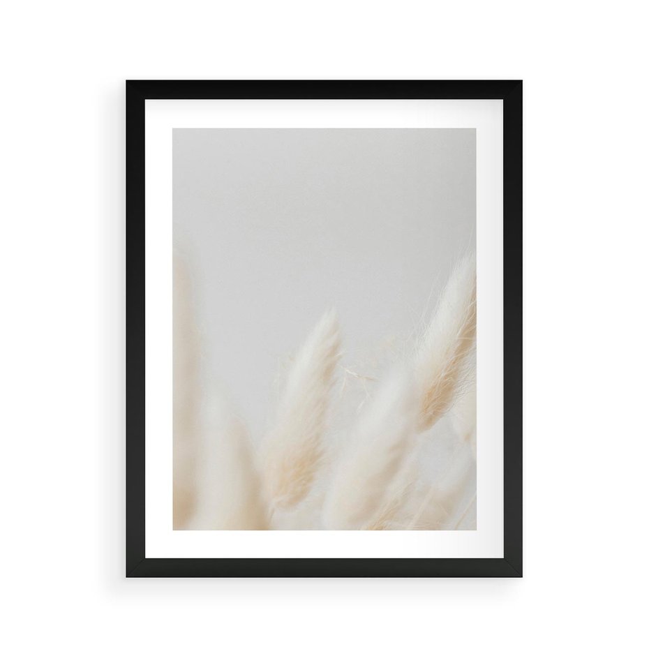 Plakat w ramie 40x50 - Biały Spokój - białe trawy, suche trawy pampas - rama czarna