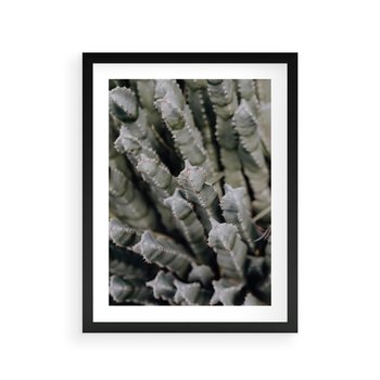 Plakat w ramie 40x50 - Boho kaktusy na pustyni - kaktusy, pustynia - rama czarna