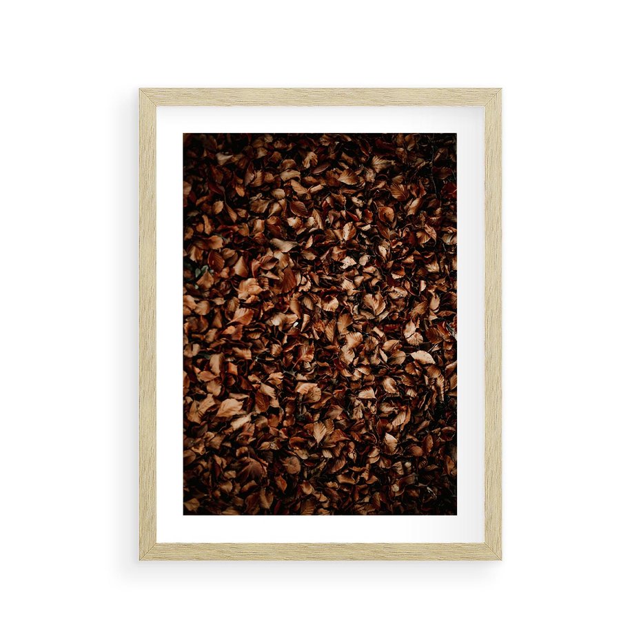 Plakat w ramie 30x40 - Jesienny Dywan - dywan z suchych liści, jesień - rama drewno