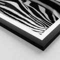 Plakat w ramie 50x70 - Pasy Zebr - zebra, paski - rama czarna