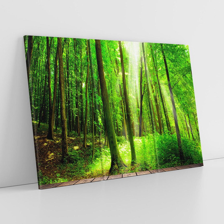 Obraz na płótnie 120x80 - Spacer po urokliwej dróżce w lesie - las, dróżka