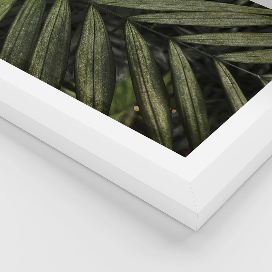 Plakat w ramie 50x70 - W Liściach Ukryte - zdjęcie, fotografia - rama biała