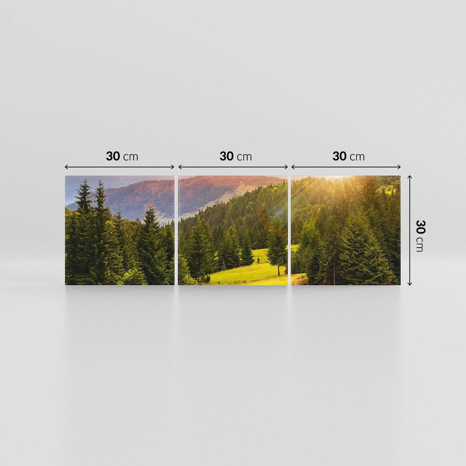 Obraz na płótnie 90x30 - Zachód słońca na łące - zachód, łąka