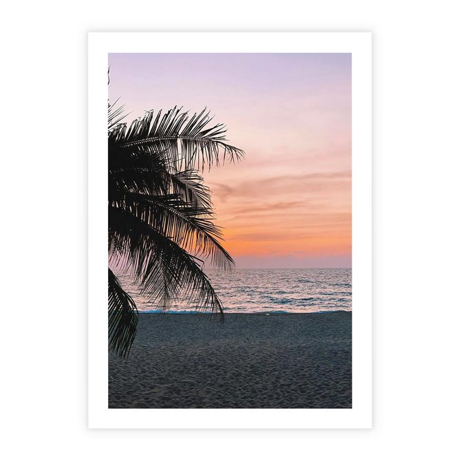 Plakat bez ramy 21x30 - Tropikalny Zachód Słońca: Piękno Palmy - palma, nad morzem