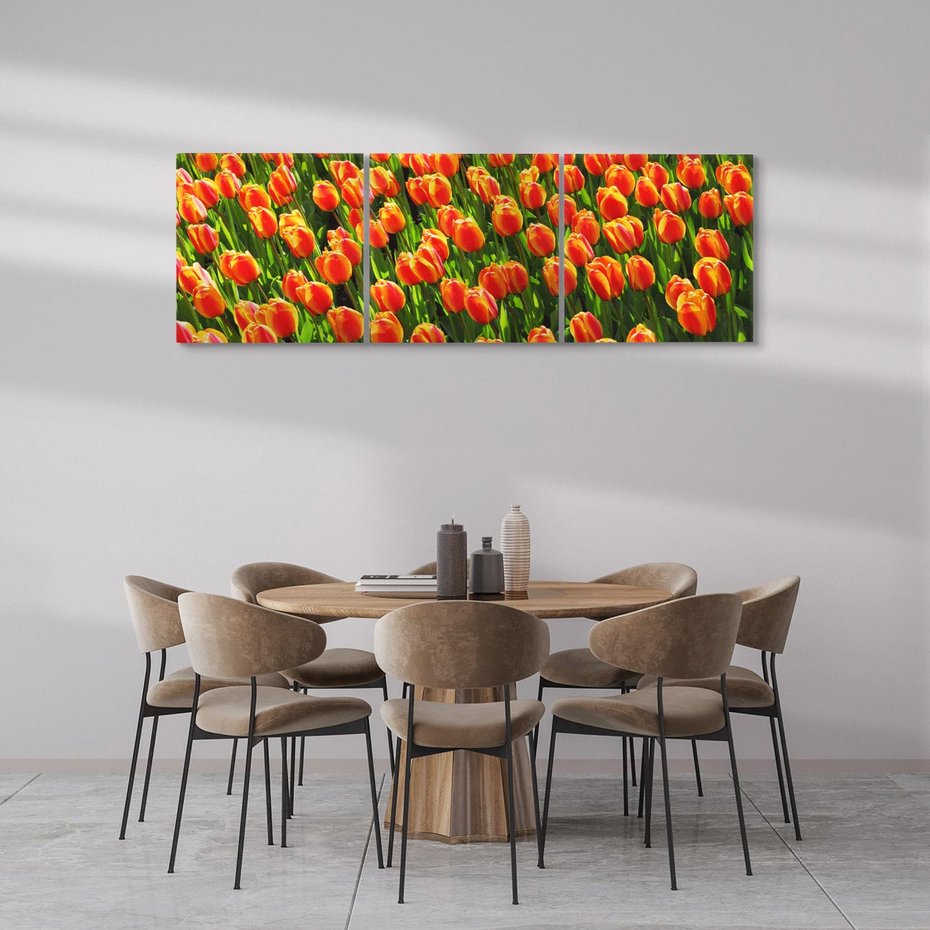 Obraz na płótnie 120x40 - Tulipanowa eksplozja - tulipany, kwiaty