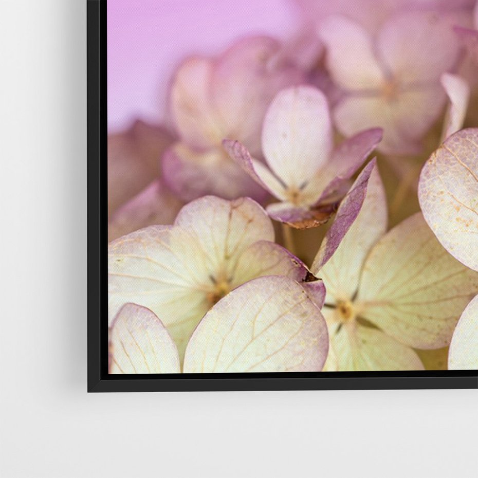 Obraz w ramie 70x100 - Kwiatowa Uroda - kwiaty, hortensje - rama czarna