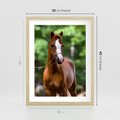 Plakat w ramie 30x40 - Portret Szlachetnego Konia - koń, portret - rama drewno