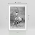 Plakat w ramie 50x70 - Elegancja w Czarno-Białym - koń, biało - rama biała