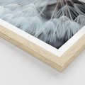 Plakat w ramie 40x50 - Makro Magii Natury - dmuchawiec, zbliżenie makro - rama drewno
