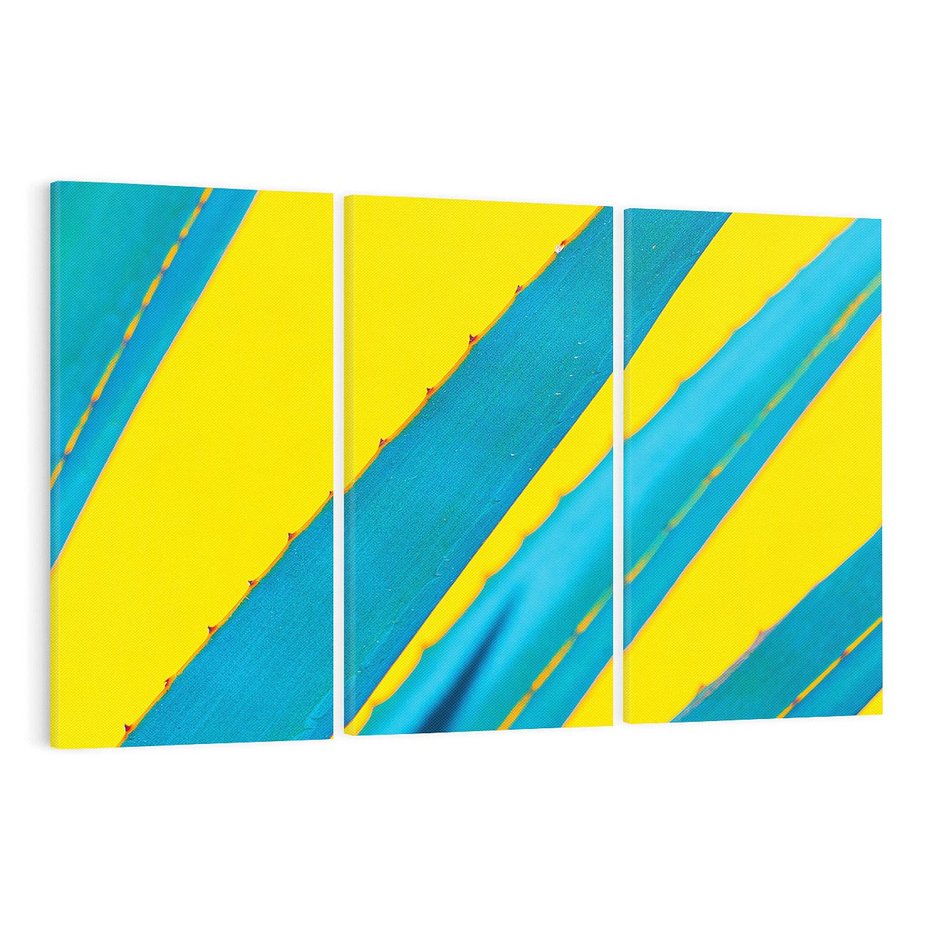 Obraz na płótnie 120x80 - Świeżość Natury - aloes, liście