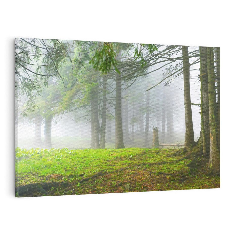 Obraz na płótnie 100x70 - Drzewa w harmonii - las, drzewa