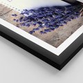 Plakat w ramie 40x50 - Lawendowa Magia - lawenda, fiolet - rama czarna