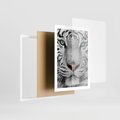 Plakat w ramie 50x70 - Magia Białego Tygrysa - biały, tygrys - rama biała