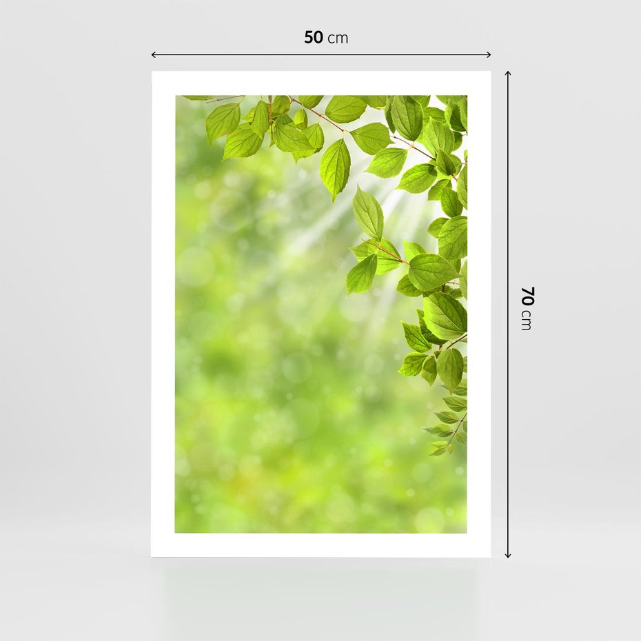 Plakat bez ramy 50x70 - Zielone liście natury - liści, zieleń