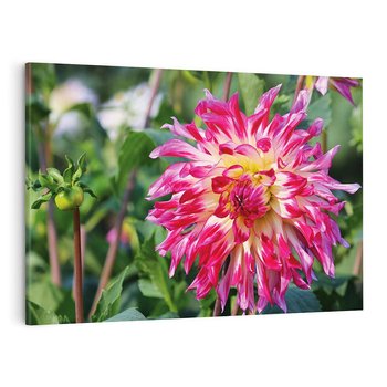 Obraz na płótnie 100x70 - Kwiatowe impresje natury - kwiat, kwiaty