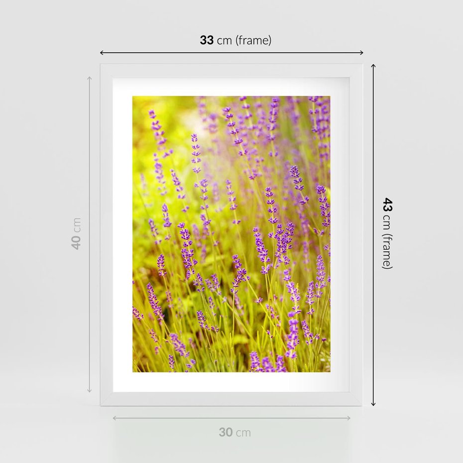 Plakat w ramie 30x40 - Delikatność natury - lawenda, kwiaty - rama biała
