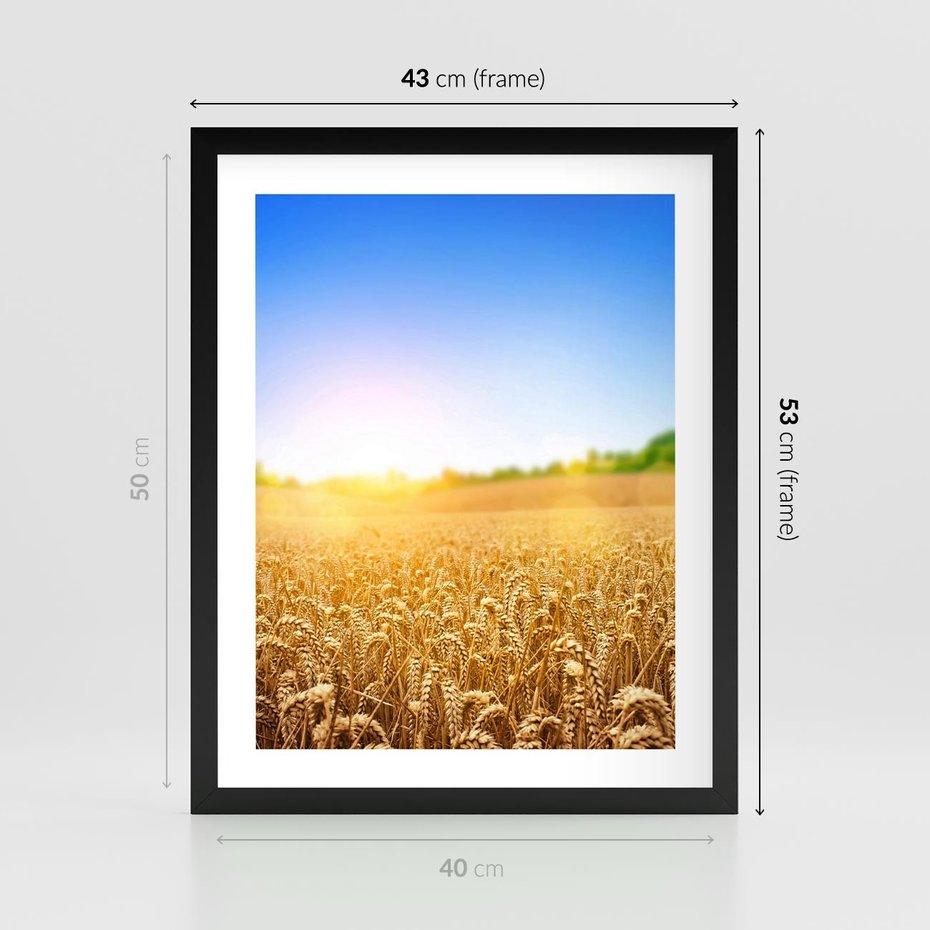 Plakat w ramie 40x50 - Żyzne Pola - pole, pszenicy - rama czarna