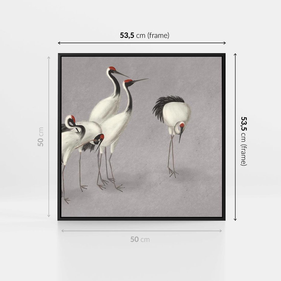 Obraz w ramie 50x50 - Spojrzenie wstecz w pędzlu - szkic rysunek, japońskie żurawie - rama czarna