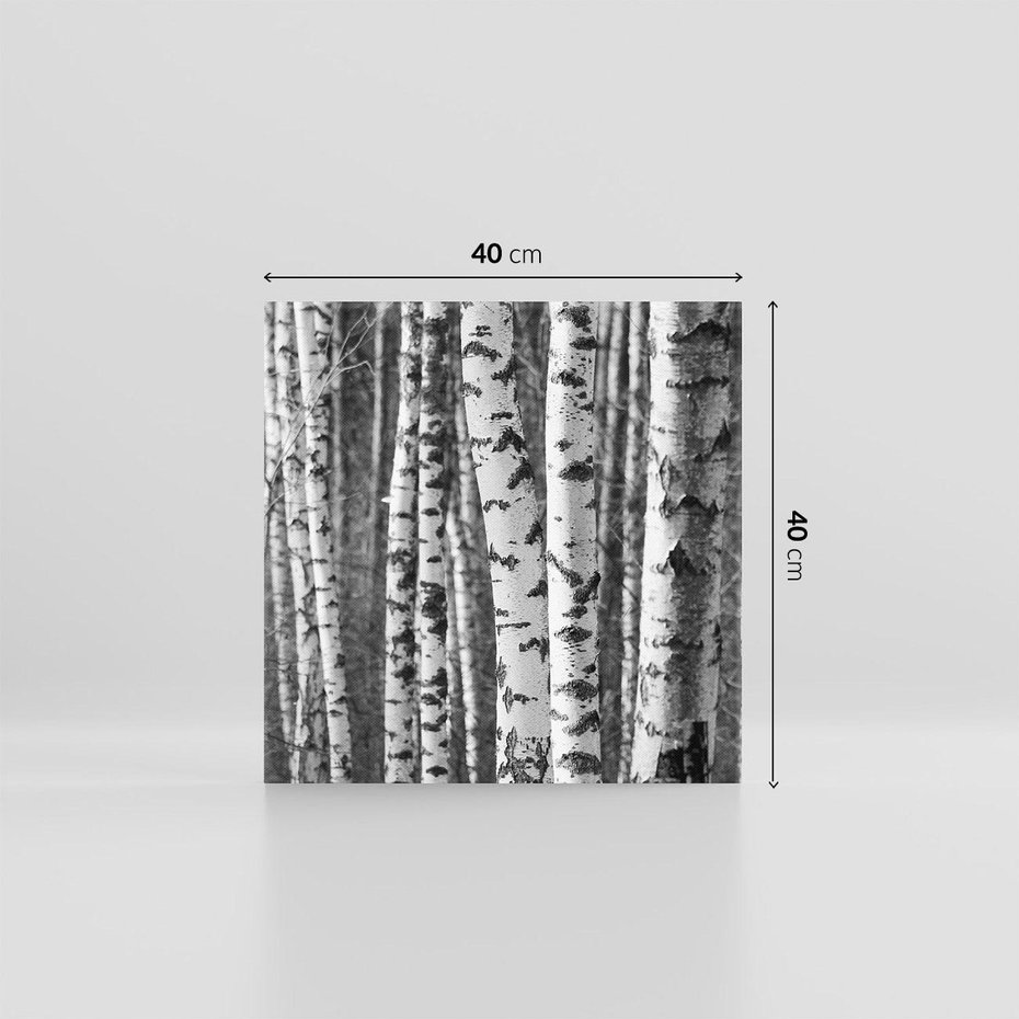 Obraz na płótnie 40x40 - Kontrast Monochromatyczny - brzozy, czarno