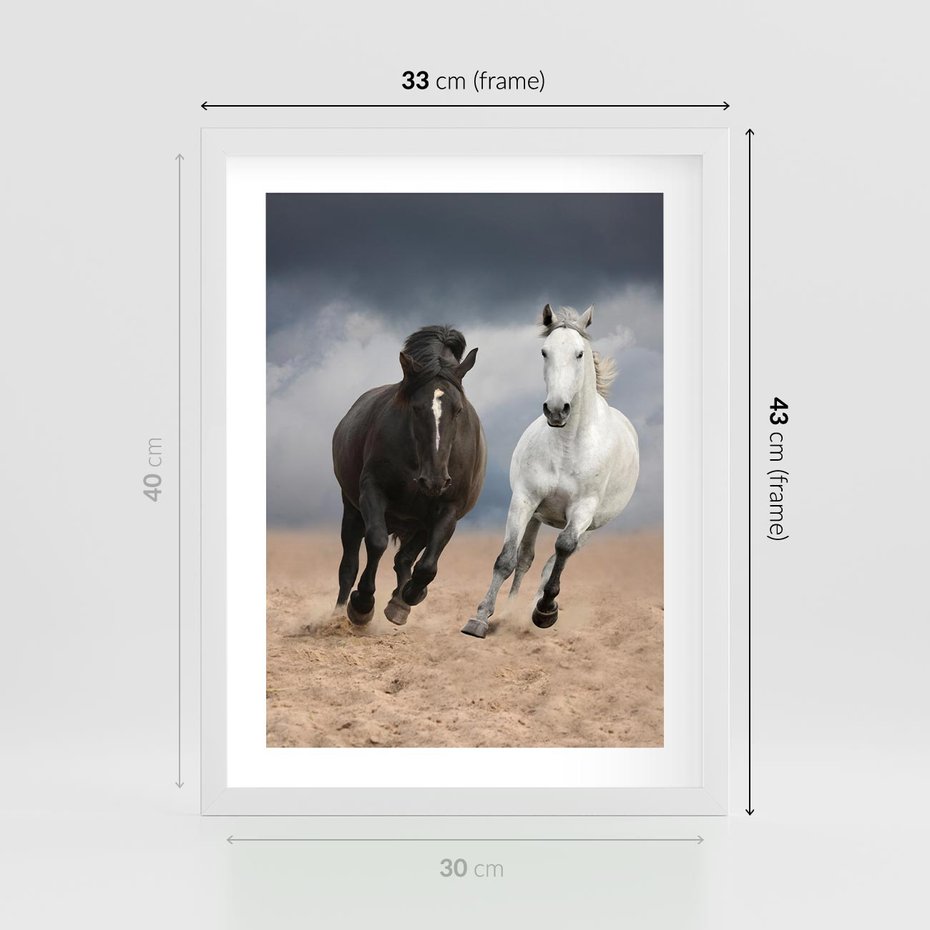 Plakat w ramie 30x40 - Siła koni w galopie - konie, galop - rama biała
