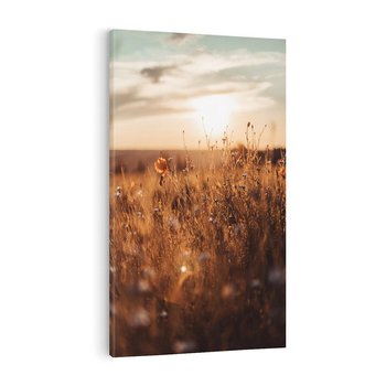 Obraz na płótnie 80x120 - Zachwyt zachodem słońca na łące - zachód, słońca