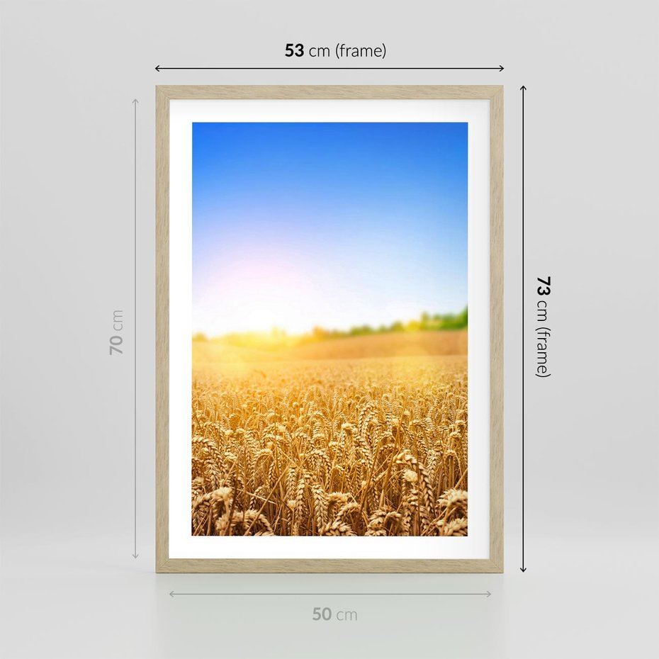 Plakat w ramie 50x70 - Żyzne Pola - pole, pszenicy - rama drewno