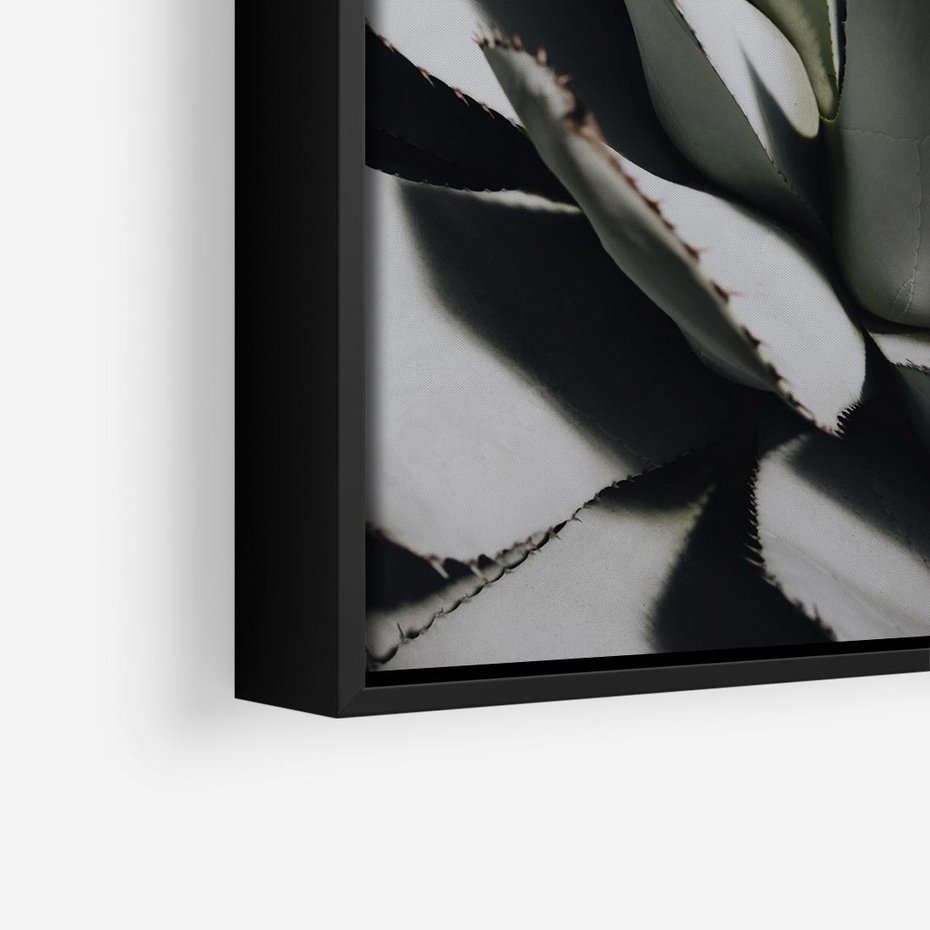 Obraz w ramie 50x50 - Sukulenty wśród kaktusów - sukulenty, kaktusy - rama czarna