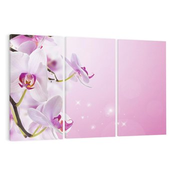 Obraz na płótnie 120x80 - Relaksujące Piękno - kwiaty, orchidea