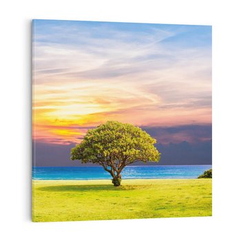 Obraz na płótnie 50x50 - Drzewo, Morze, Trawa - Naturalna Harmonia - drzewo, morze