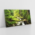 Obraz na płótnie 140x70 - Magiczny Strumień w Lesie - strumień, las