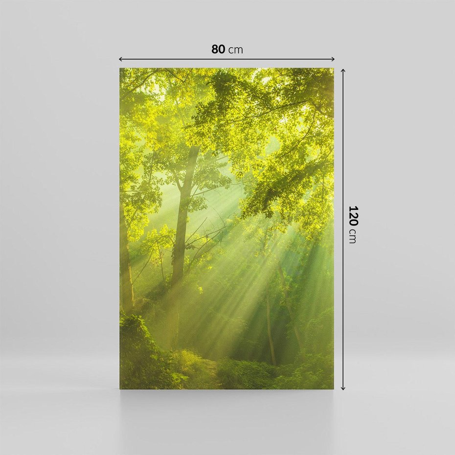 Obraz na płótnie 80x120 - drzewa w harmonii - las, drzewa