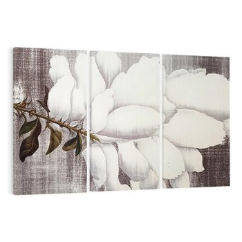 Obraz na płótnie 120x80 - Tekstura Kwiatu - białe kwiaty, duży kwiat
