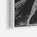 Obraz w ramie 50x70 - Siła Natury - czarno biała fotografia, korzenie wielkiego drzewa - rama biała