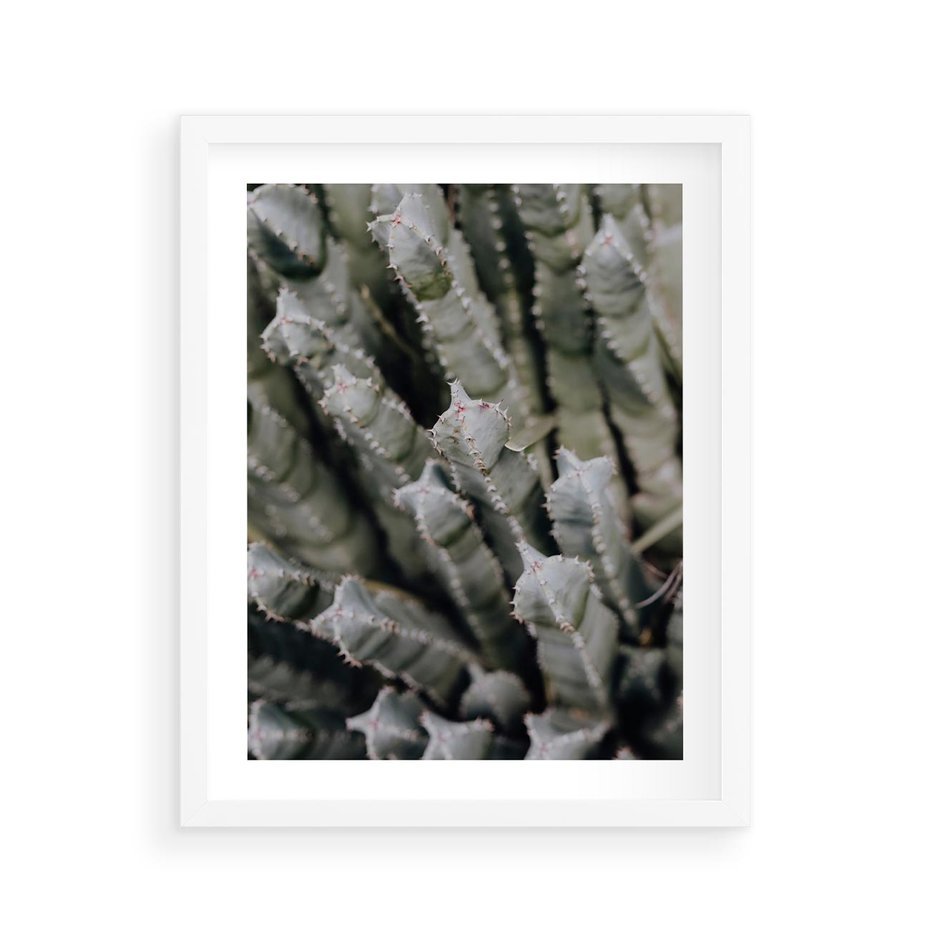 Plakat w ramie 40x50 - Boho kaktusy na pustyni - kaktusy, pustynia - rama biała