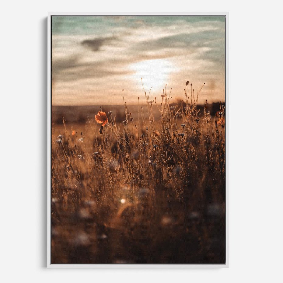 Obraz w ramie 80x120 - Zachwyt zachodem słońca na łące - zachód, słońca - rama biała