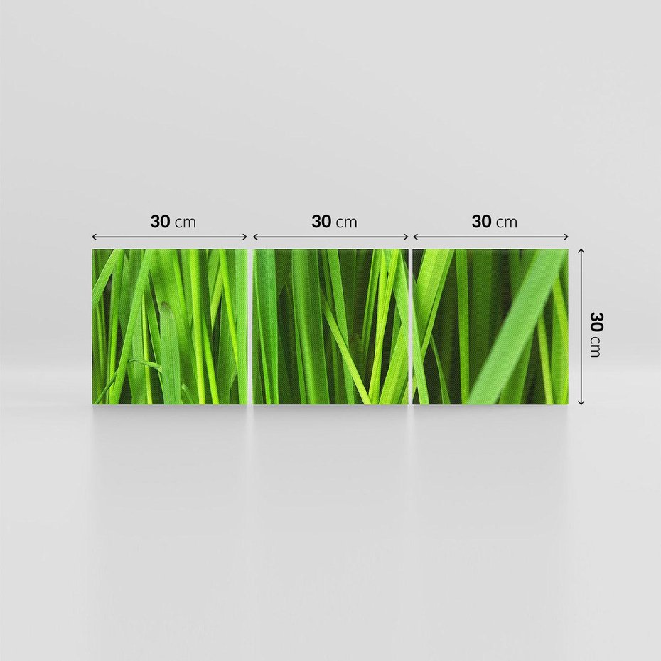 Obraz na płótnie 90x30 - Trawa w abstrakcji: natura przekształcona - trawa, abstrakcja