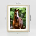 Plakat w ramie 40x50 - Portret Szlachetnego Konia - koń, portret - rama drewno