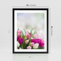 Plakat w ramie 40x50 - Tulipany w pełnym rozkwicie - tulipany, kwiaty - rama czarna